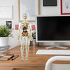 Clear Human Body Structure Model- 50% OFF