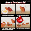 Quickatch™ Roach Ace Bait Station (Buy 1 Get 1 Free)